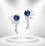 Diamond Titanium Earring