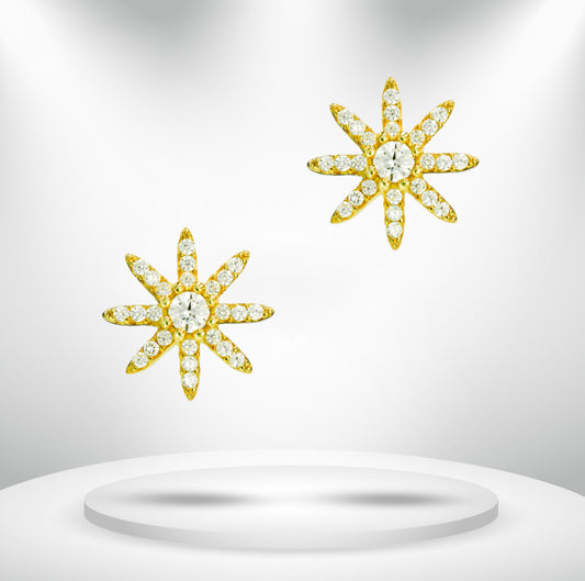 Diamond Titanium Earring