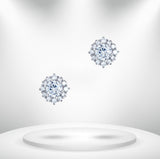 Diamond Titanium Earring